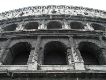 Coliseum
